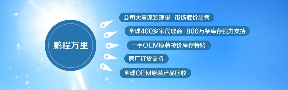 深圳市鹏程万里半导体有限公司